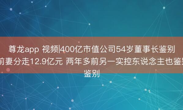 尊龙app 视频|400亿市值公司54岁董事长鉴别 前妻分走12.9亿元 两年多前另一实控东说念主也鉴别