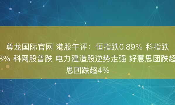 尊龙国际官网 港股午评:恒指跌0.89% 科指跌1.68% 科网股普跌 电力建造股逆势走强 好意思团跌超4%
