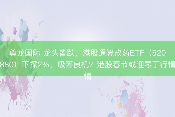 尊龙国际 龙头皆跌，港股通篡改药ETF（520880）下探2%，吸筹良机？港股春节或迎零丁行情