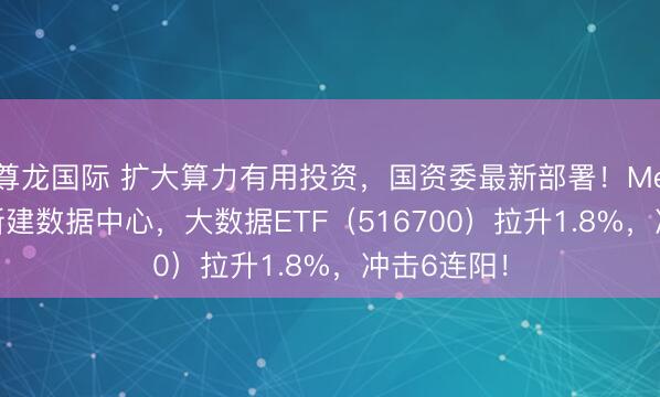 尊龙国际 扩大算力有用投资，国资委最新部署！Meta斥巨资新建数据中心，大数据ETF（516700）拉升1.8%，冲击6连阳！