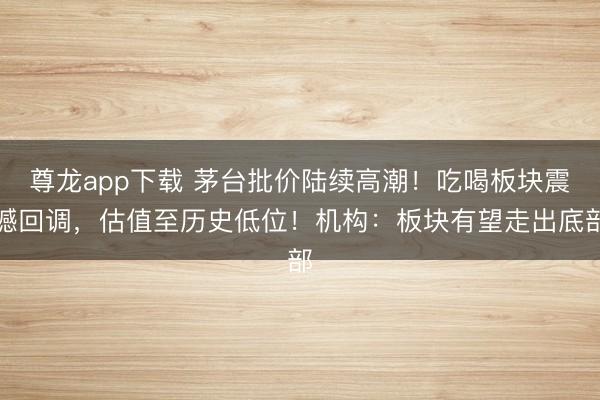 尊龙app下载 茅台批价陆续高潮!吃喝板块震撼回调,估值至历史低位!机构:板块有望走出底部