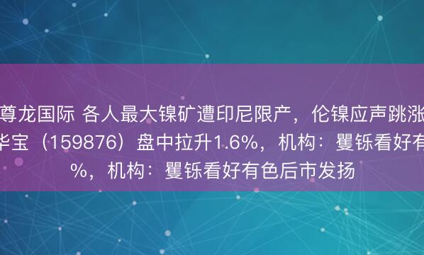 尊龙国际 各人最大镍矿遭印尼限产，伦镍应声跳涨！有色ETF华宝（159876）盘中拉升1.6%，机构：矍铄看好有色后市发扬
