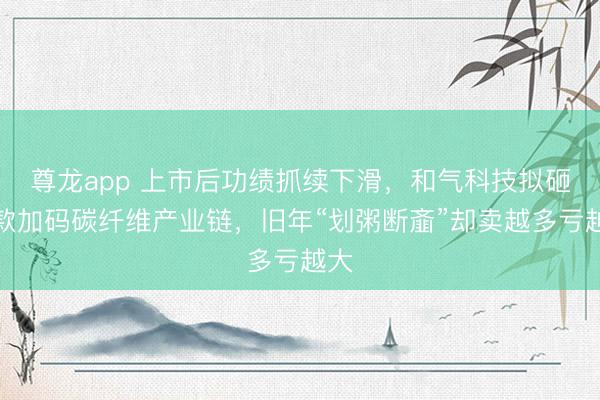 尊龙app 上市后功绩抓续下滑，和气科技拟砸现款加码碳纤维产业链，旧年“划粥断齑”却卖越多亏越大