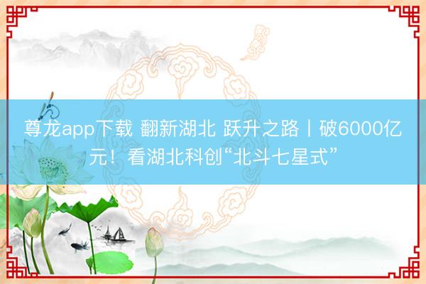 尊龙app下载 翻新湖北 跃升之路丨破6000亿元！看湖北科创“北斗七星式”