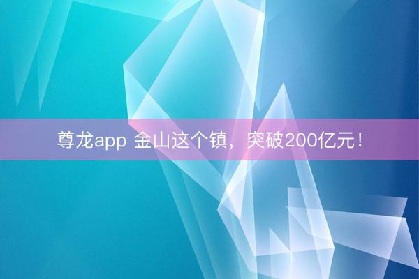 尊龙app 金山这个镇,突破200亿元!