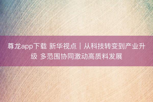尊龙app下载 新华视点｜从科技转变到产业升级 多范围协同激动高质料发展