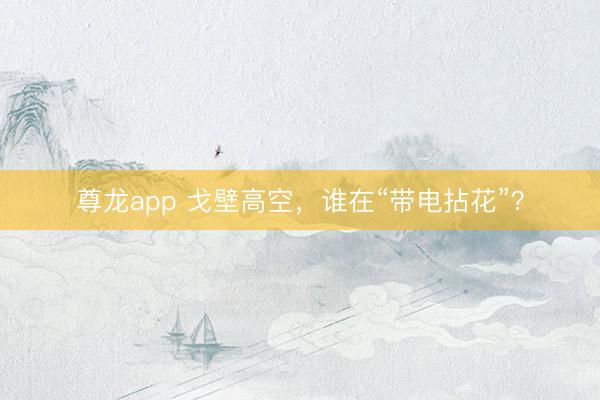 尊龙app 戈壁高空，谁在“带电拈花”？