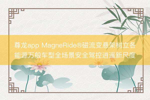 尊龙app MagneRide®磁流变悬架树立各能源万般车型全场景安全驾控逍遥新尺度