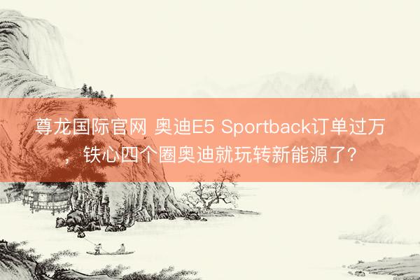 尊龙国际官网 奥迪E5 Sportback订单过万，铁心四个圈奥迪就玩转新能源了？