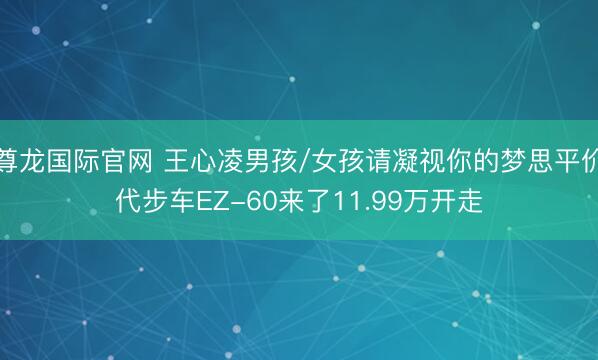 尊龙国际官网 王心凌男孩/女孩请凝视你的梦思平价代步车EZ-60来了11.99万开走