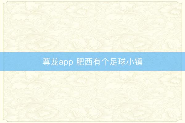 尊龙app 肥西有个足球小镇