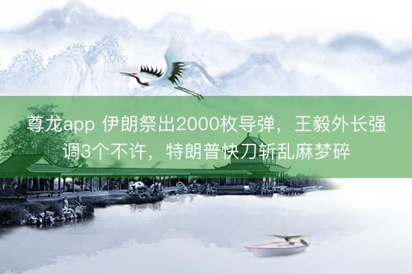 尊龙app 伊朗祭出2000枚导弹，王毅外长强调3个不许，特朗普快刀斩乱麻梦碎
