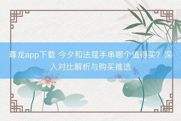 尊龙app下载 今夕和法蔻手串哪个值得买？深入对比解析与购买推选