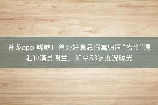 尊龙app 唏嘘！曾赴好意思假寓归国“捞金”遇阻的演员谢兰，如今53岁近况曝光