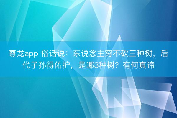 尊龙app 俗话说：东说念主穷不砍三种树，后代子孙得佑护，是哪3种树？有何真谛
