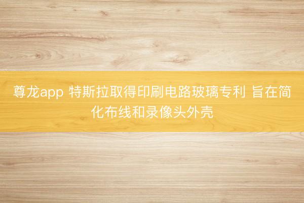 尊龙app 特斯拉取得印刷电路玻璃专利 旨在简化布线和录像头外壳