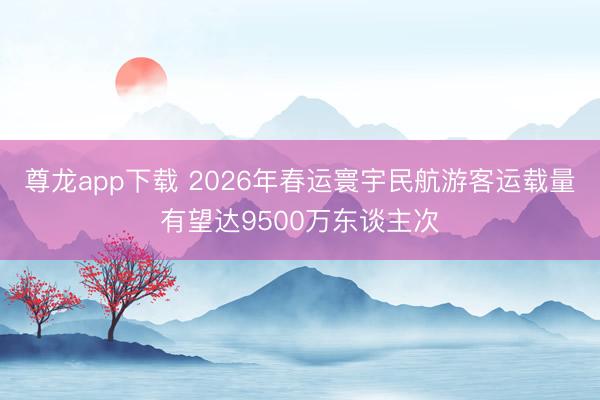 尊龙app下载 2026年春运寰宇民航游客运载量有望达9500万东谈主次