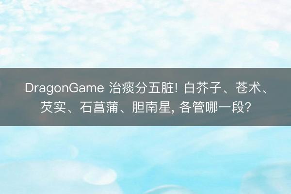 DragonGame 治痰分五脏! 白芥子、苍术、芡实、石菖蒲、胆南星, 各管哪一段?