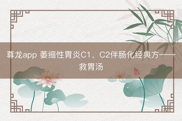 尊龙app 萎缩性胃炎C1、C2伴肠化经典方——救胃汤