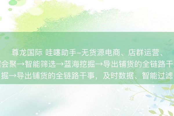 尊龙国际 哇噻助手-无货源电商、店群运营、竞品分析,提供从数据会聚→智能筛选→蓝海挖掘→导出铺货的全链路干事,及时数据、智能过滤