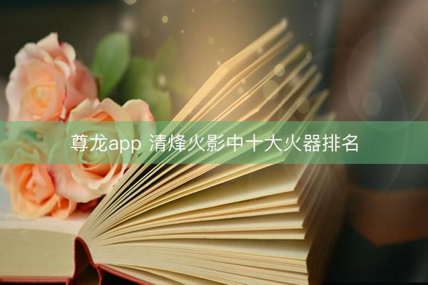 尊龙app 清烽火影中十大火器排名