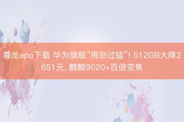 尊龙app下载 华为旗舰“用劲过猛”! 512GB大降2651元， 麒麟9020+百倍变焦