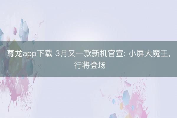 尊龙app下载 3月又一款新机官宣: 小屏大魔王, 行将登场