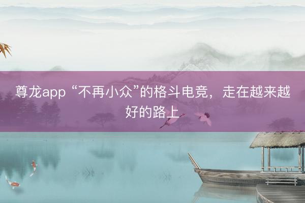 尊龙app “不再小众”的格斗电竞，走在越来越好的路上