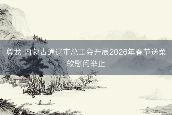 尊龙 内蒙古通辽市总工会开展2026年春节送柔软慰问举止