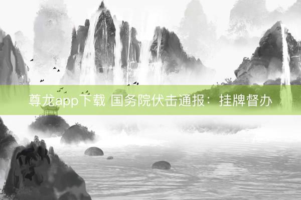尊龙app下载 国务院伏击通报：挂牌督办
