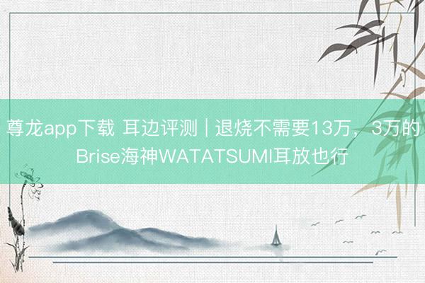 尊龙app下载 耳边评测 | 退烧不需要13万，3万的Brise海神WATATSUMI耳放也行