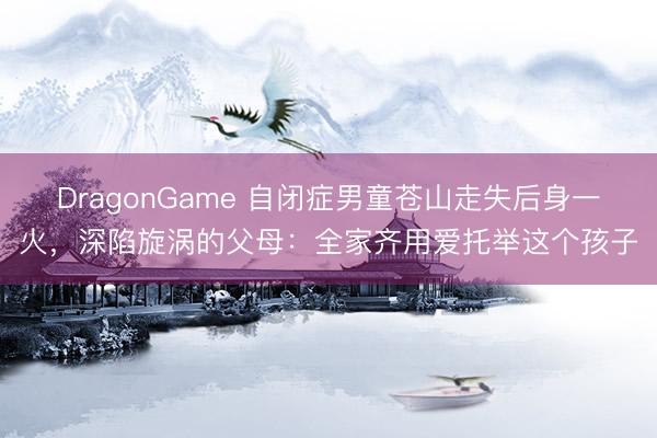 DragonGame 自闭症男童苍山走失后身一火，深陷旋涡的父母：全家齐用爱托举这个孩子