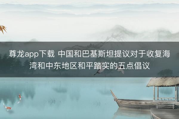 尊龙app下载 中国和巴基斯坦提议对于收复海湾和中东地区和平踏实的五点倡议