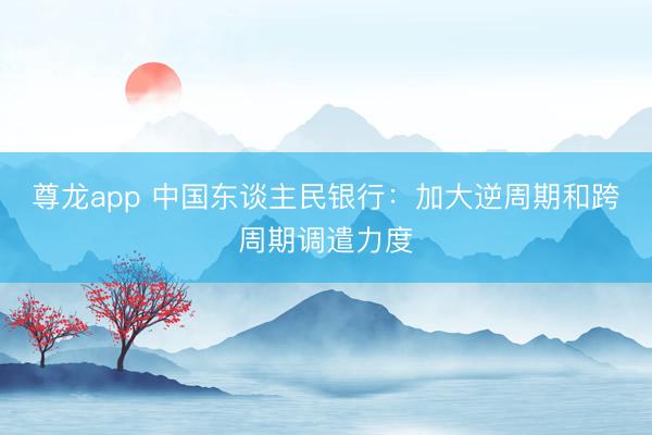 尊龙app 中国东谈主民银行：加大逆周期和跨周期调遣力度