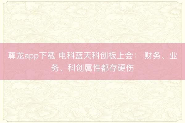 尊龙app下载 电科蓝天科创板上会: 财务、业务、科创属性都存硬伤