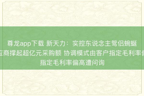 尊龙app下载 新天力：实控东说念主鸳侣蜿蜒抓股的供应商撑起超亿元采购额 协调模式由客户指定毛利率偏高遭问询