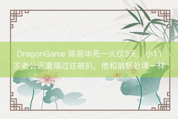 DragonGame 陈丽华死一火仅3天，小11岁老公迟重瑞过往被扒，他和翁帆处境一样