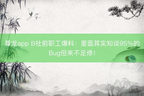 尊龙app B社前职工爆料：里面其实知谈95%的Bug但来不足修！