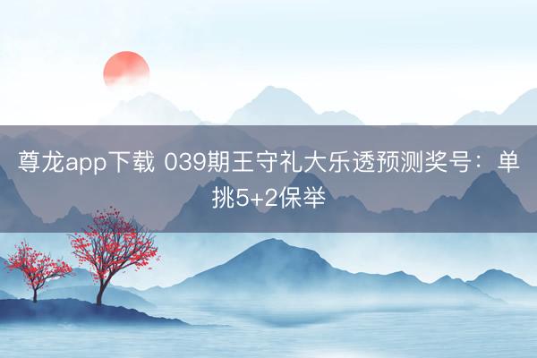 尊龙app下载 039期王守礼大乐透预测奖号：单挑5+2保举