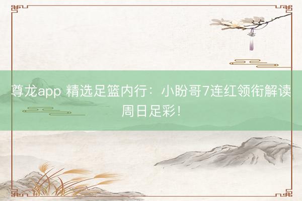 尊龙app 精选足篮内行：小盼哥7连红领衔解读周日足彩！