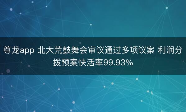 尊龙app 北大荒鼓舞会审议通过多项议案 利润分拨预案快活率99.93%