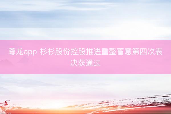 尊龙app 杉杉股份控股推进重整蓄意第四次表决获通过