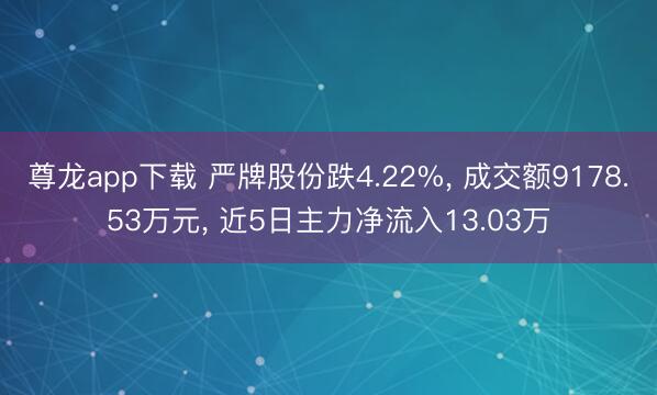 尊龙app下载 严牌股份跌4.22%， 成交额9178.53万元， 近5日主力净流入13.03万