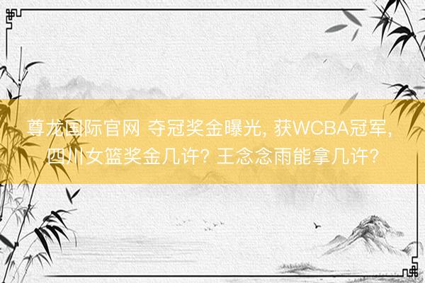 尊龙国际官网 夺冠奖金曝光， 获WCBA冠军， 四川女篮奖金几许? 王念念雨能拿几许?