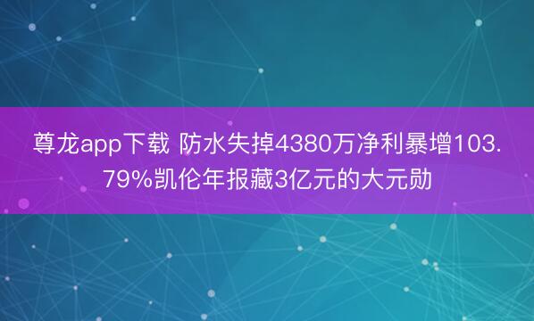 尊龙app下载 防水失掉4380万净利暴增103.79%凯伦年报藏3亿元的大元勋