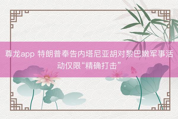 尊龙app 特朗普奉告内塔尼亚胡对黎巴嫩军事活动仅限“精确打击”