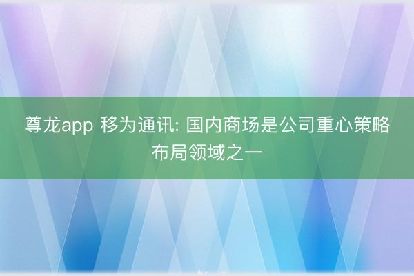 尊龙app 移为通讯: 国内商场是公司重心策略布局领域之一