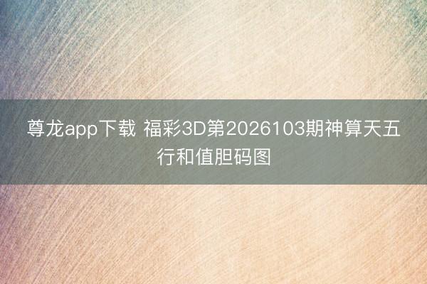 尊龙app下载 福彩3D第2026103期神算天五行和值胆码图