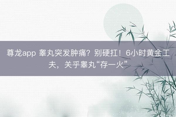 尊龙app 睾丸突发肿痛？别硬扛！6小时黄金工夫，关乎睾丸“存一火”