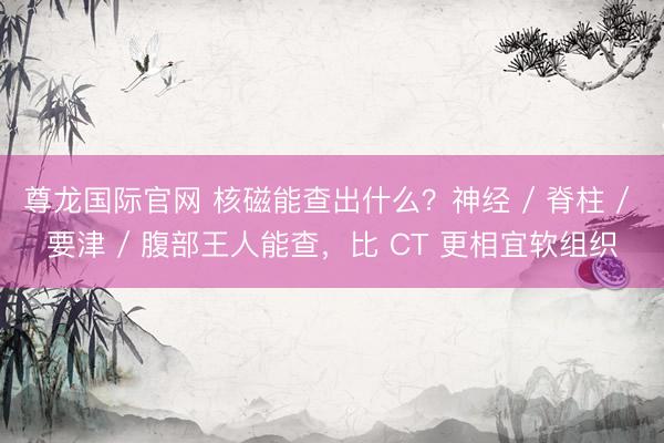 尊龙国际官网 核磁能查出什么？神经 / 脊柱 / 要津 / 腹部王人能查，比 CT 更相宜软组织